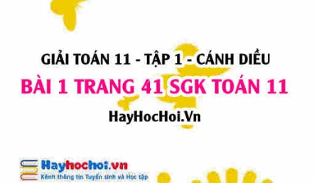 Giải bài 1 trang 41 Toán 11 tập 1 SGK Cánh Diều